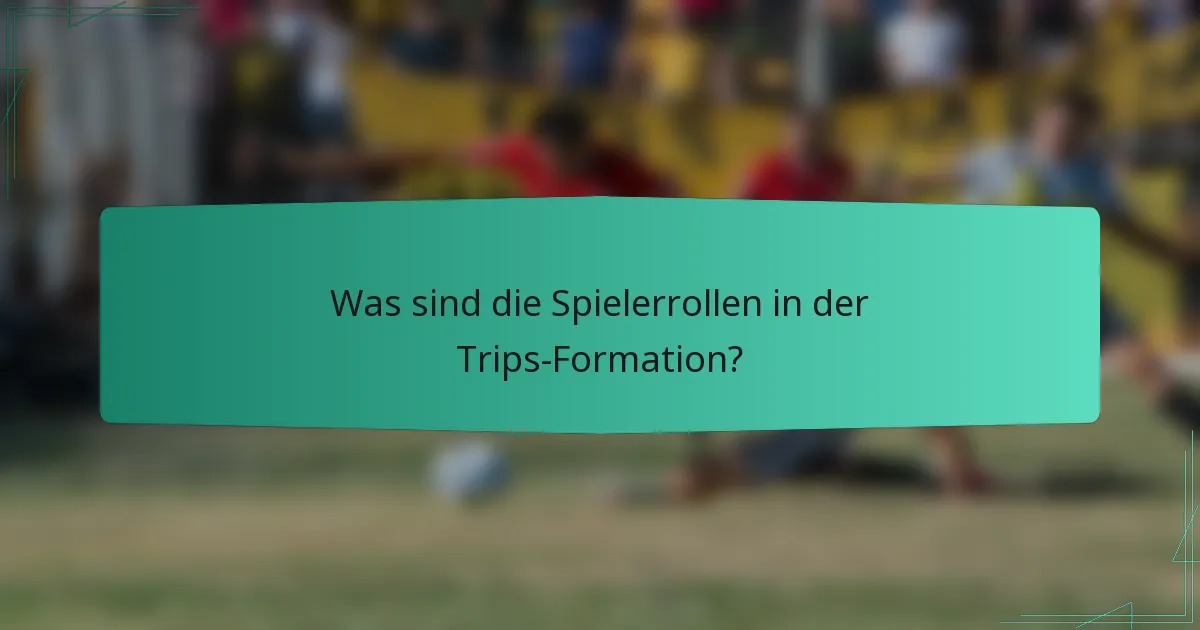 Was sind die Spielerrollen in der Trips-Formation?